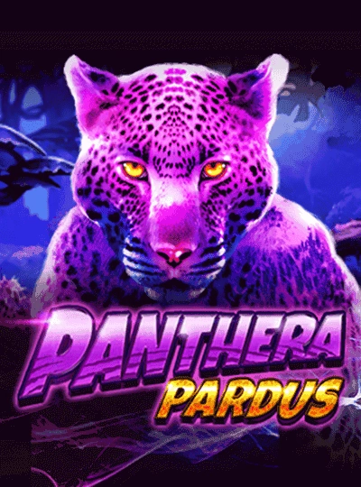 Live casino lobby game cover